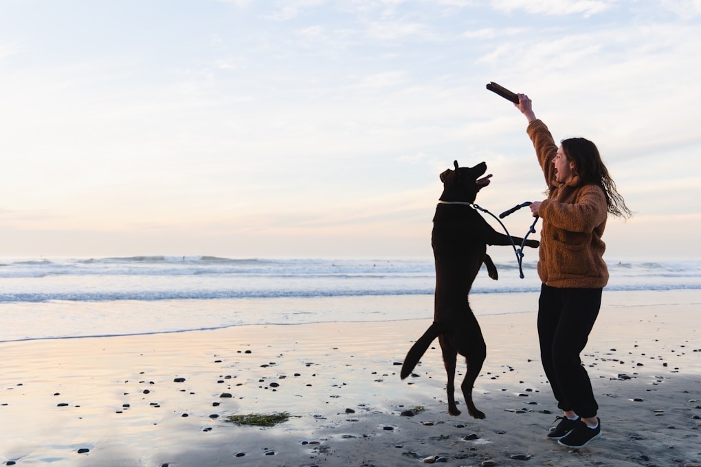 A woman and a dog at the beach. Recovery from viral illness.