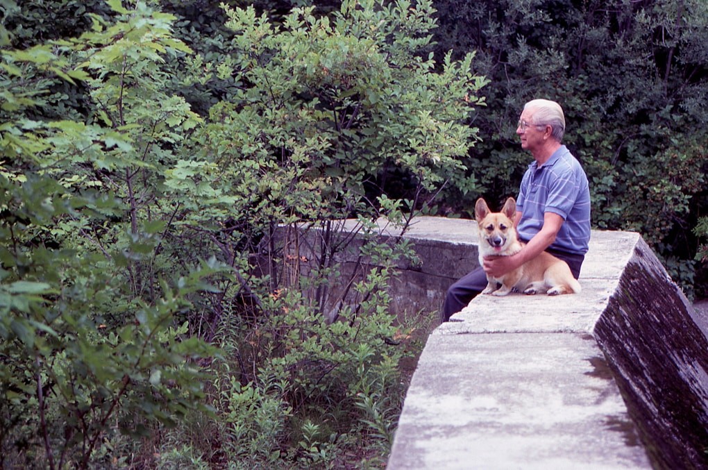 Man sitting on a ledge with a dog. Life's challenges with hypnosis