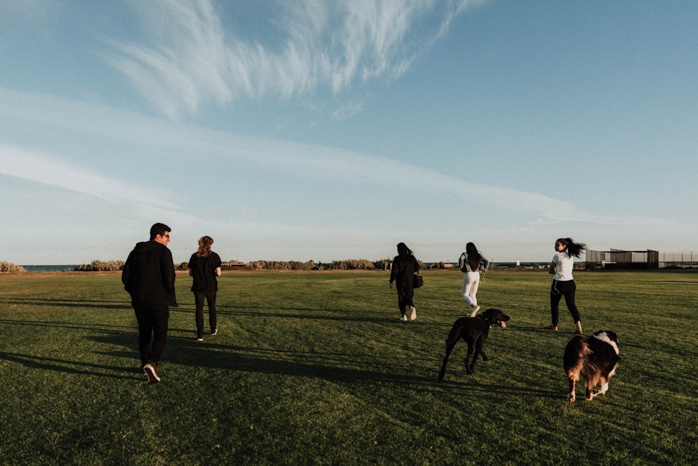 Teens jogging in a field. Youth Counselling Brisbane