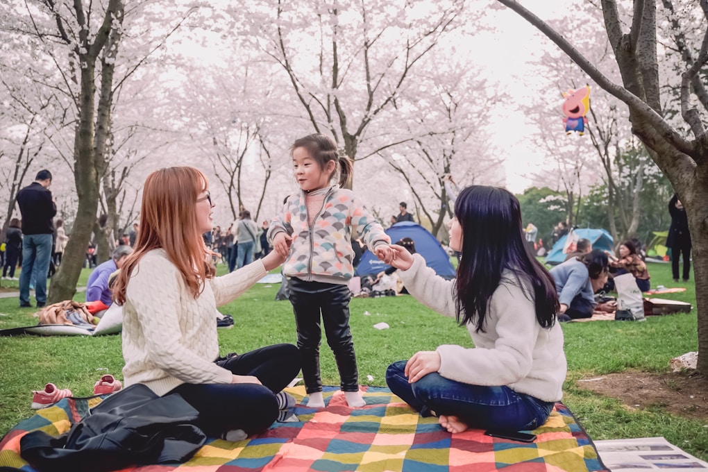 Family sitting on top of a picnic blanket in a park. Counsellor Wavell Heights.